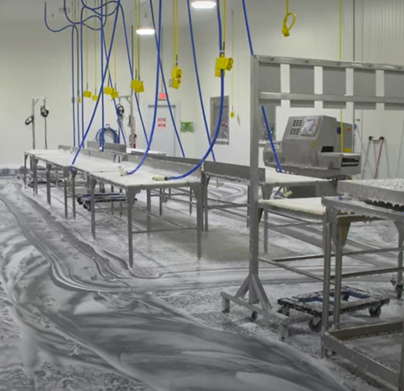 Buckhead-Newport-Food-Safety-Sanitizing
